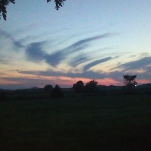 Meet your Posher, Layne